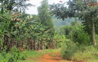 Nationalpark im Südsudan