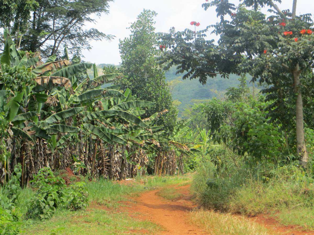 Nationalpark im Südsudan